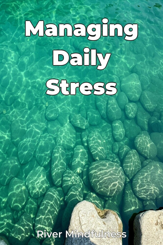 Managing Daily Stress main product photo