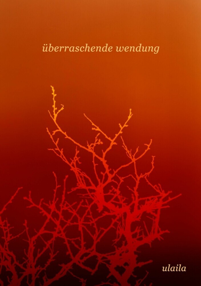 überraschende wendung main product photo