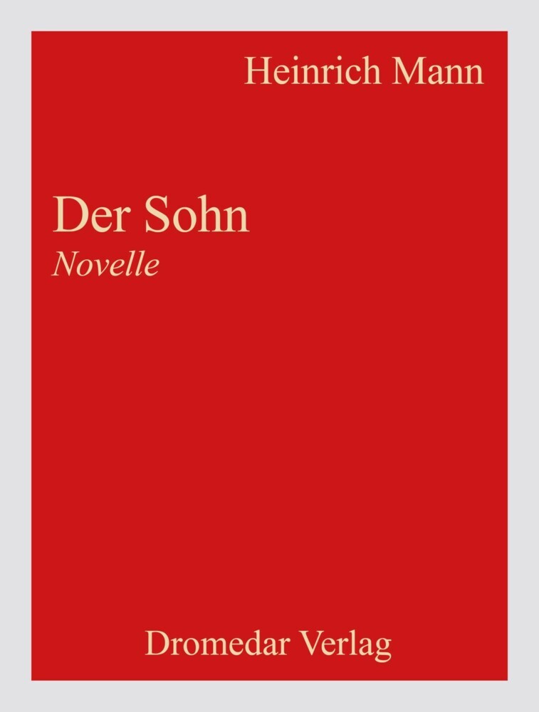 Der Sohn main product photo