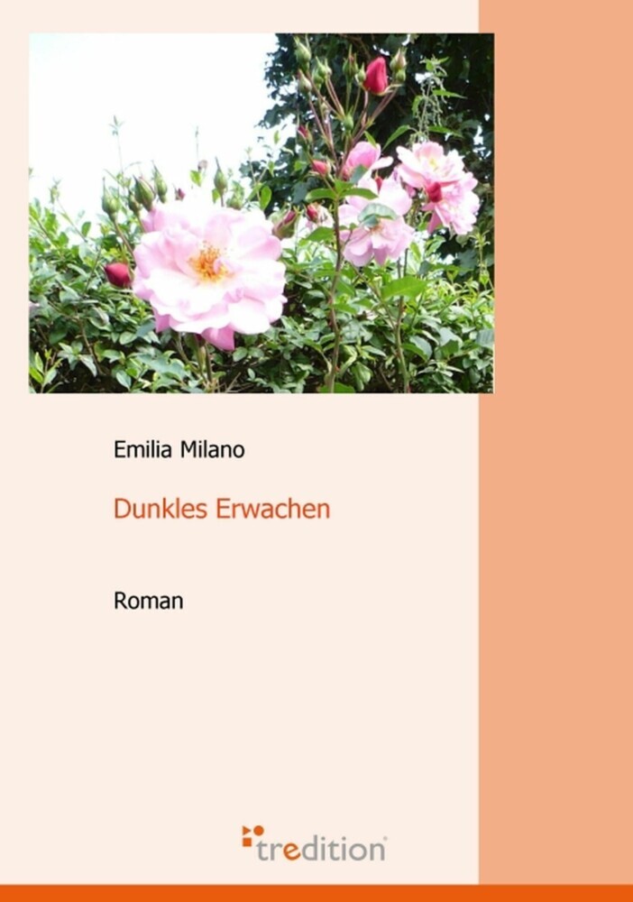 Dunkles Erwachen main product photo