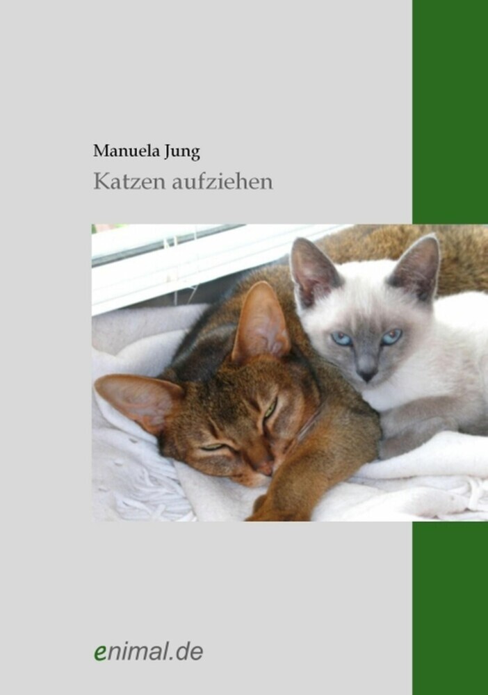 Katzen aufziehen main product photo