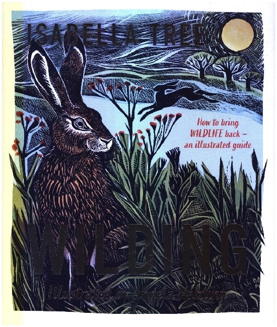 Wilding: How to Bring Wildlife Back - an Illustrated Guide main product photo