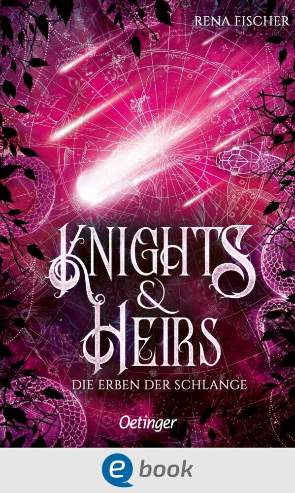 Knights & Heirs 2. Die Erben der Schlange main product photo