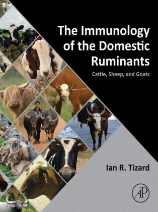 The Immunology of the Domestic Ruminants