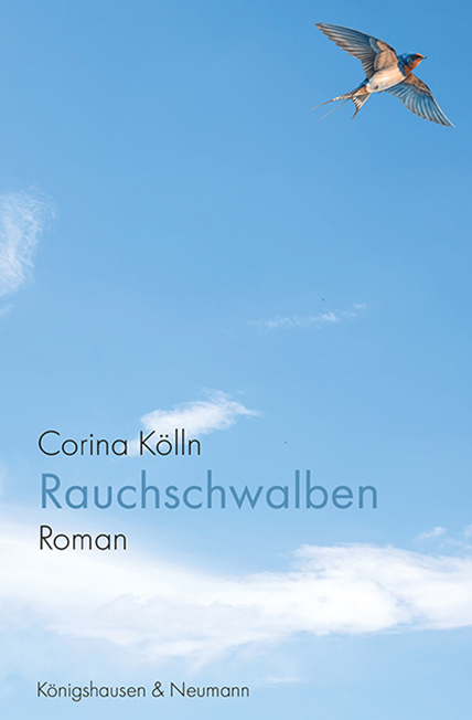 Rauchschwalben main product photo
