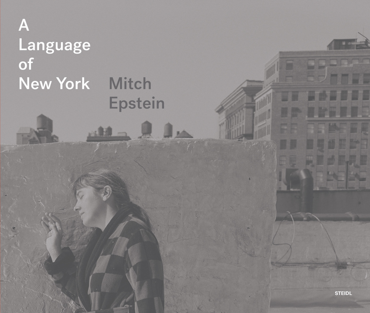 A Language of New York main product photo