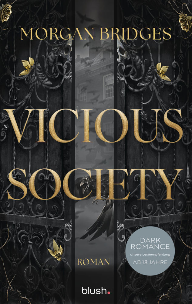Vicious Society main product photo