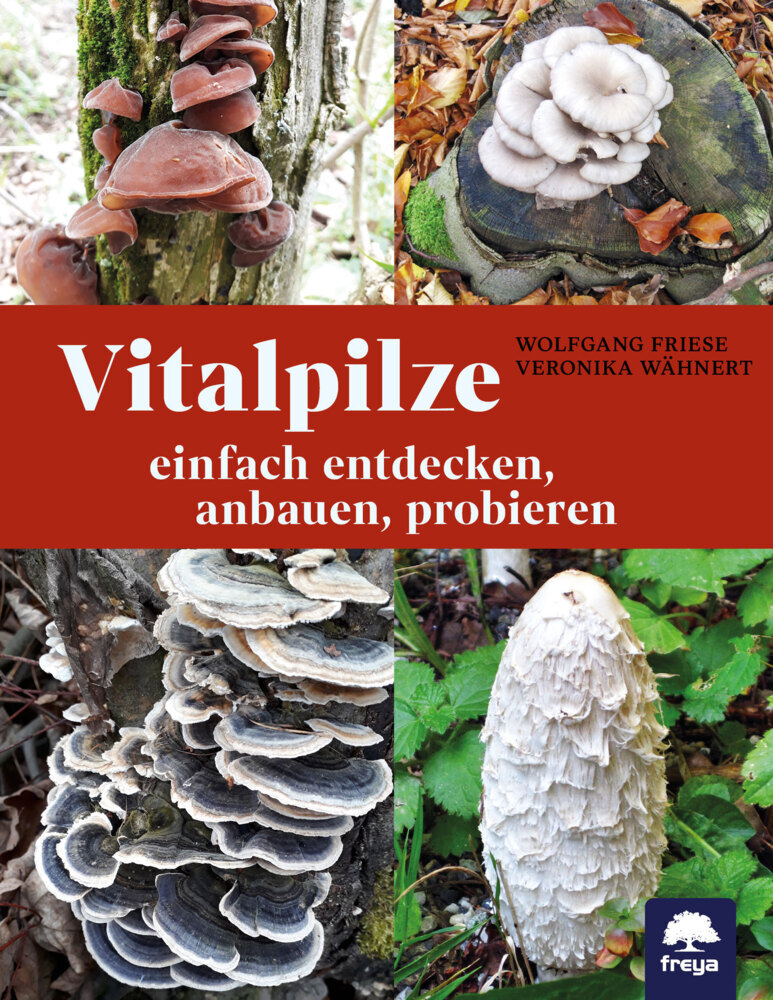 Vitalpilze main product photo