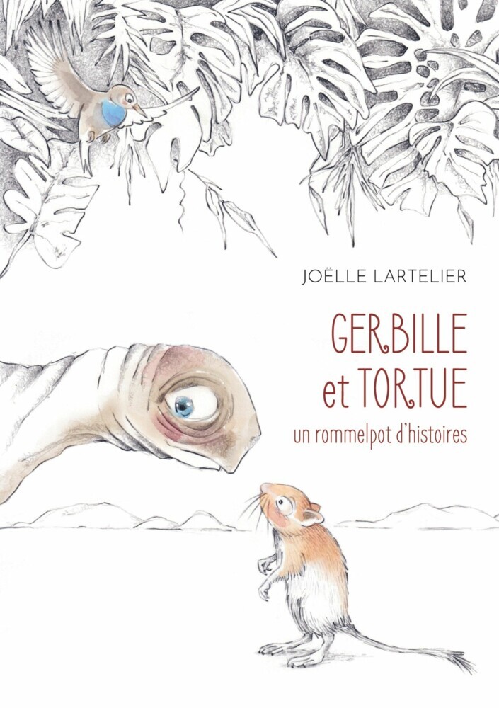 Gerbille et Tortue main product photo