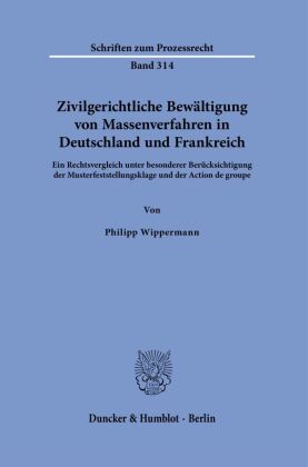 Zivilgerichtliche Bewältigung von Massenverfahren in Deutschland und Frankreich