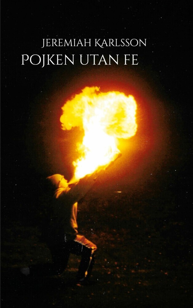 Pojken utan fe main product photo