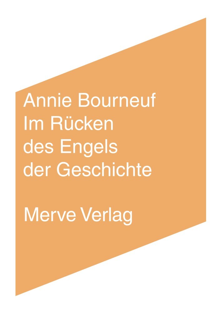 Im Rücken des Engels der Geschichte main product photo