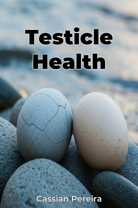 Testicle Health