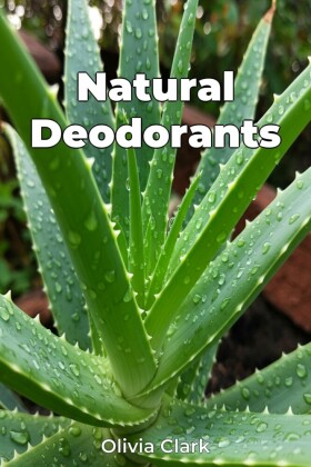 Natural Deodorants