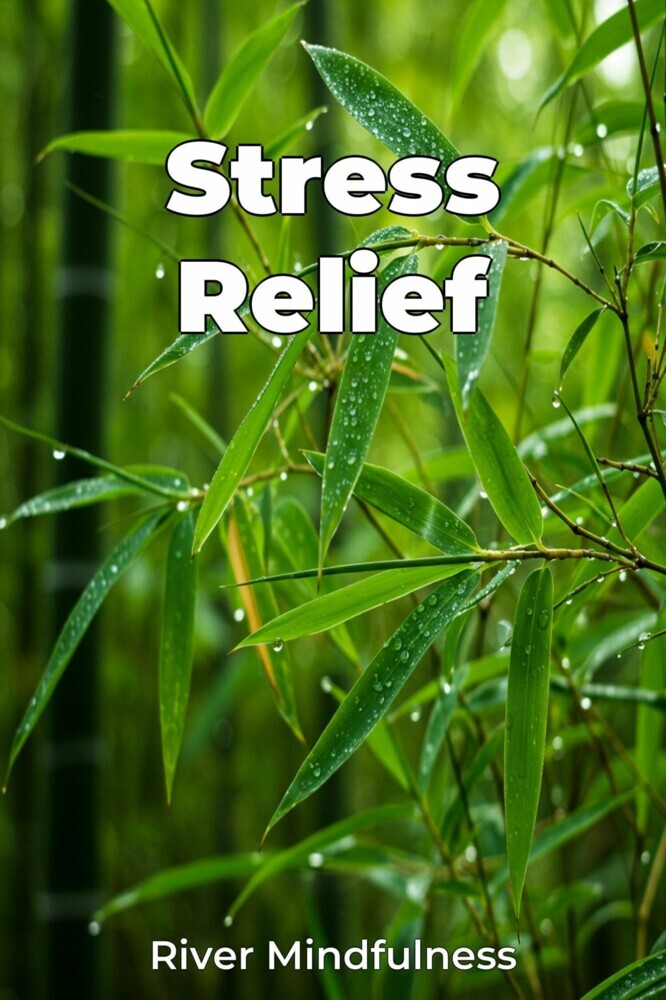 Stress Relief main product photo