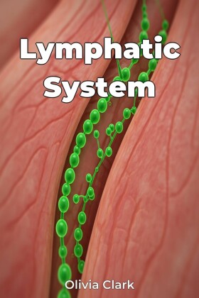 Lymphatic System