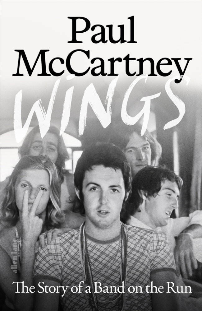 Wings main product photo