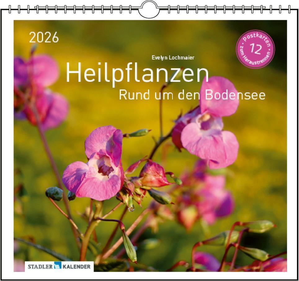 Heilpfanzen rund um den Bodensee 2026 main product photo