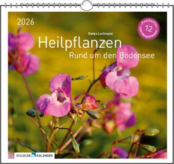 Heilpfanzen rund um den Bodensee 2026