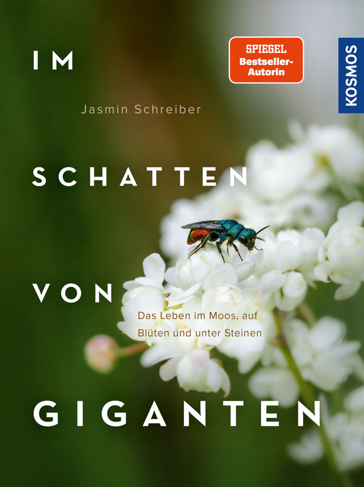 Im Schatten von Giganten main product photo