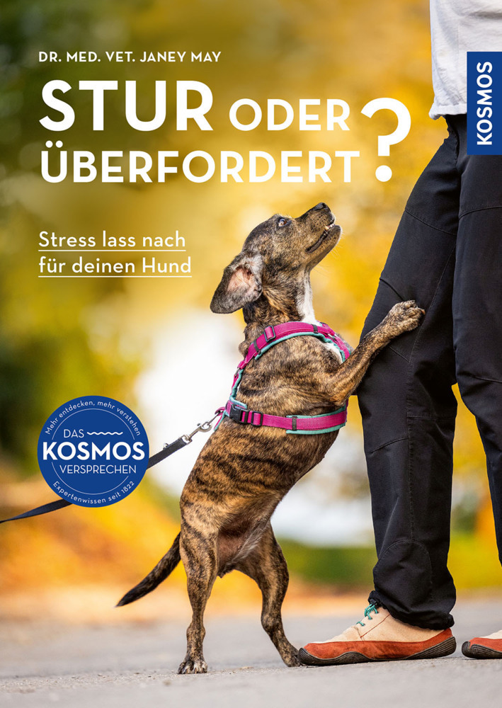 Stur oder überfordert? main product photo