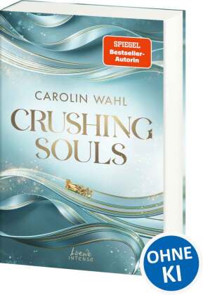 Crushing Souls (Driven Dreams-Dilogie, Band 1)