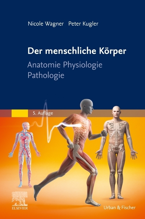 Der menschliche Körper main product photo