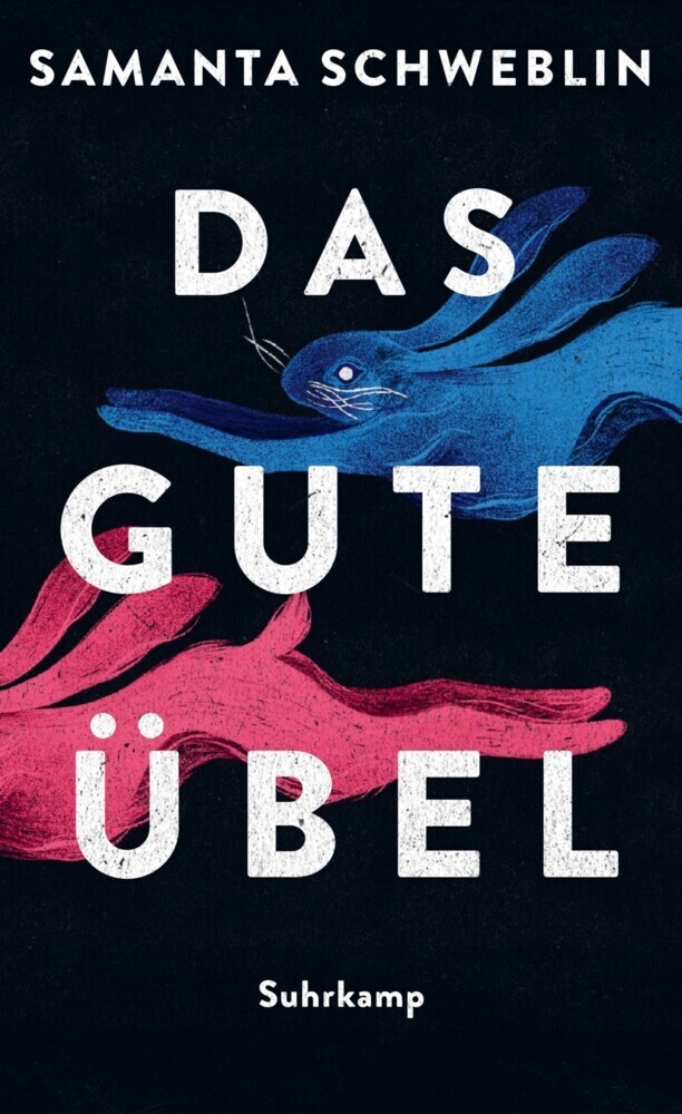 Das gute Übel main product photo