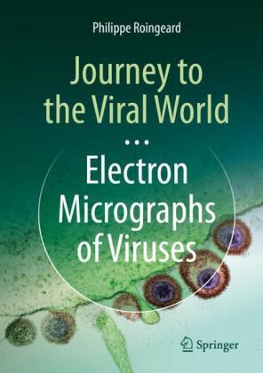 Journey to the Viral World: Electron Micrographs of Viruses