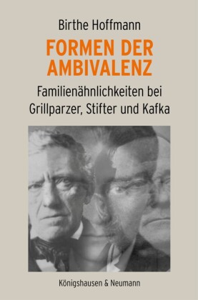 Formen der Ambivalenz