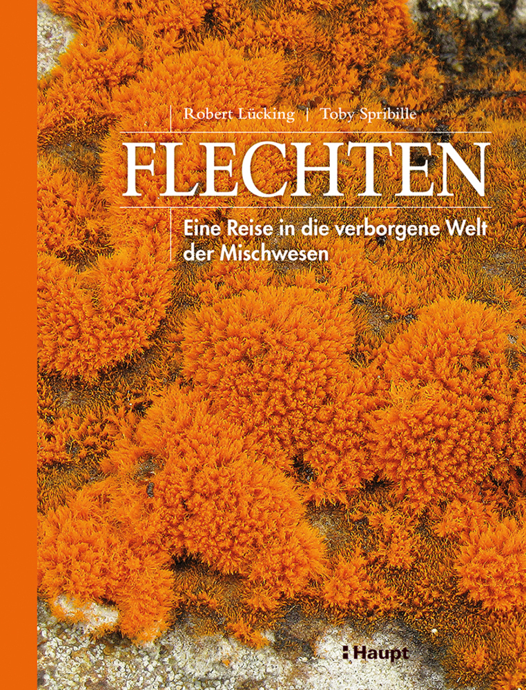 Flechten main product photo