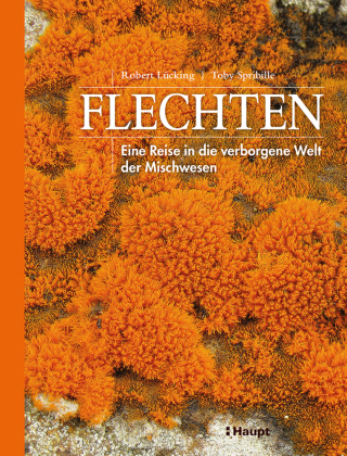 Flechten