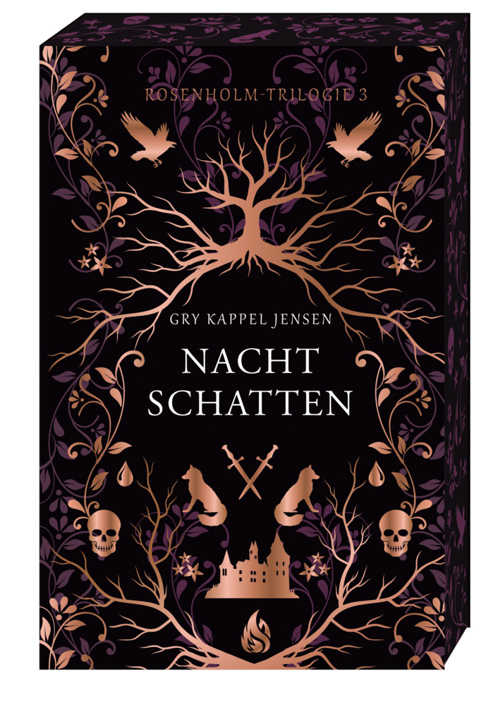 Nachtschatten - Rosenholm-Trilogie (#3) main product photo