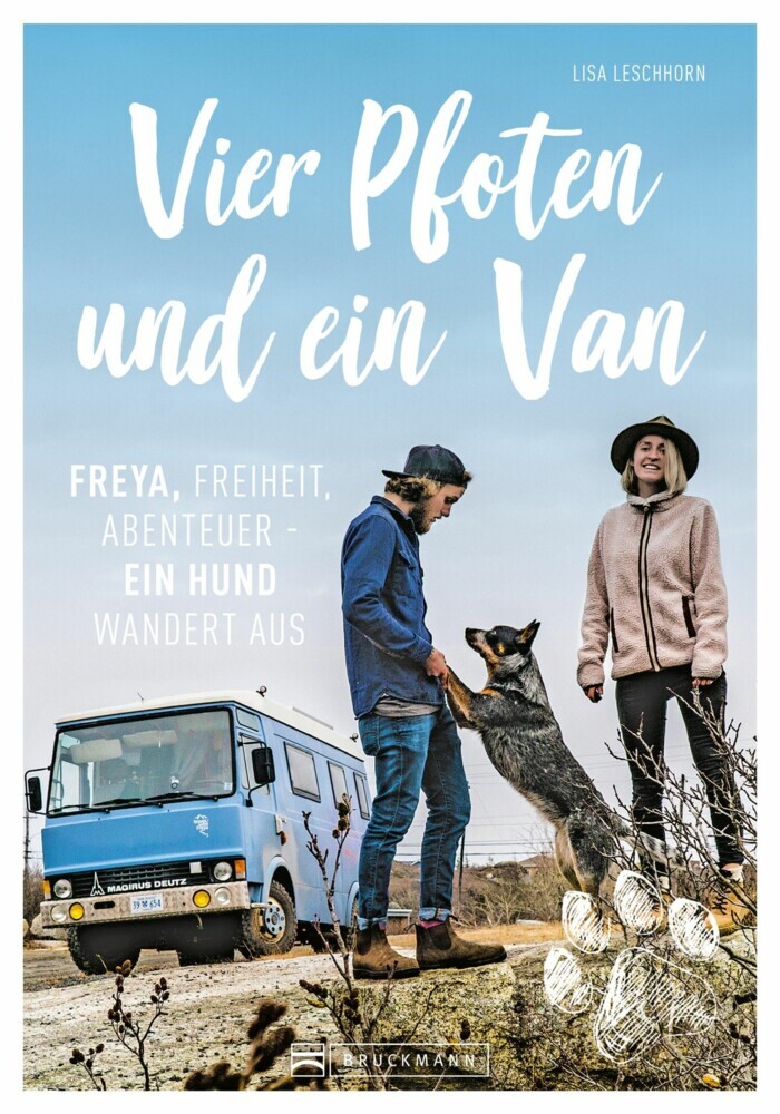 Vier Pfoten und ein Van main product photo