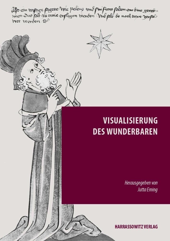 Visualisierung des Wunderbaren main product photo