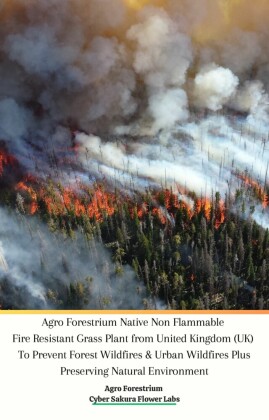 Agro Forestrium Native Non Flammable Fire Resistant Grass Plant from United Kingdom (UK) To Prevent Forest Wildfires & Urban Wildfires Plus Preserving Natural Environment