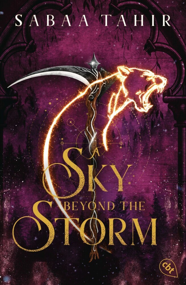 A Sky Beyond the Storm main product photo