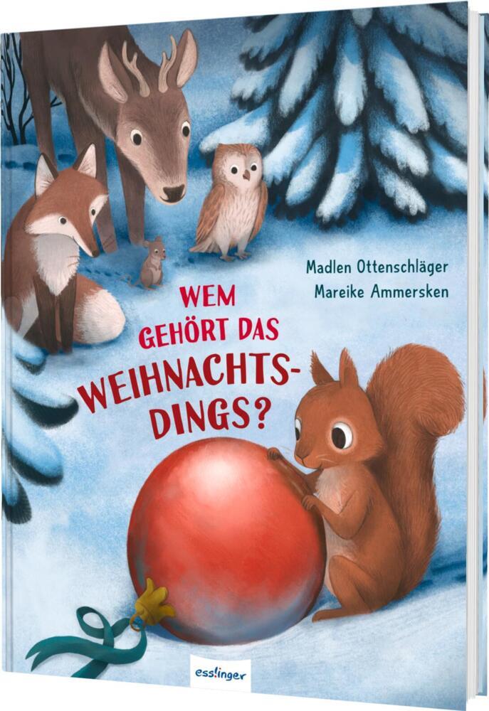 Wem gehört das Weihnachtsdings? main product photo
