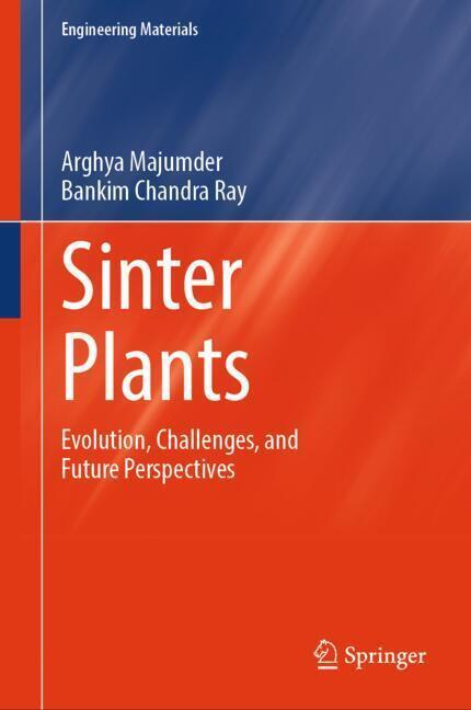 Sinter Plants main product photo