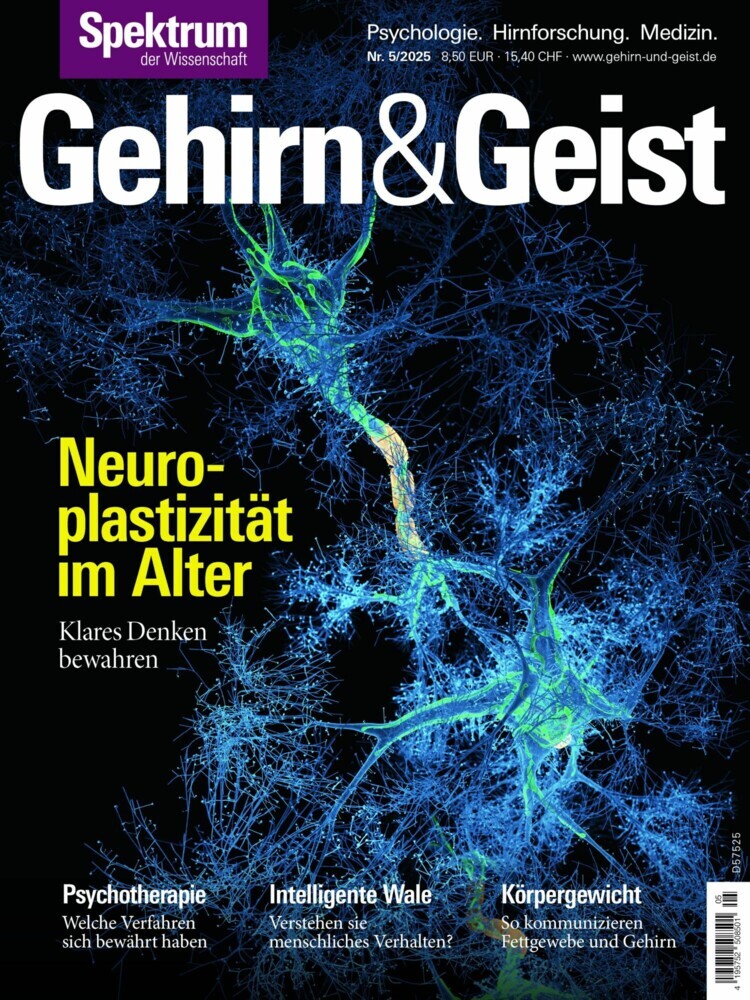 Gehirn&Geist 5/2025 Neuroplastizität im Alter main product photo