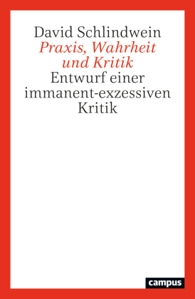 Praxis, Wahrheit und Kritik