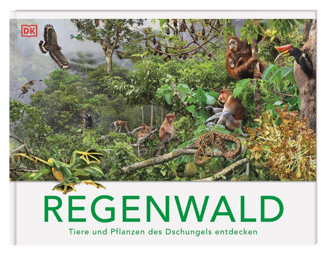 Regenwald main product photo