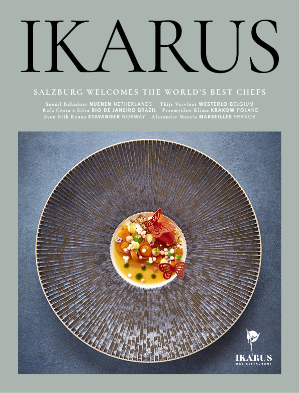 Ikarus main product photo