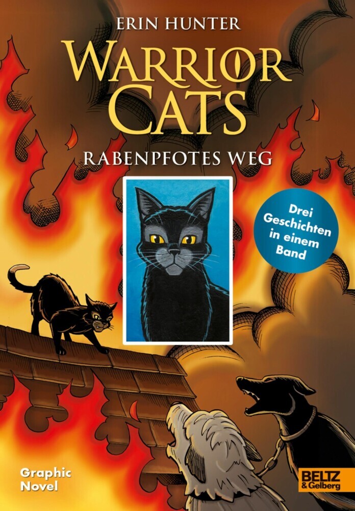 Warrior Cats - Rabenpfotes Weg main product photo