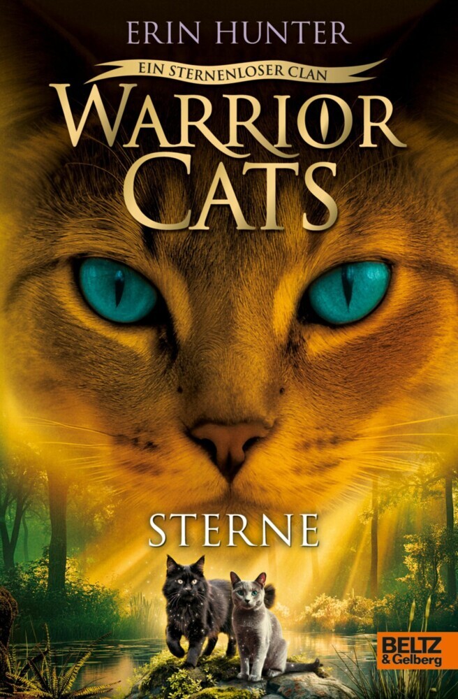Warrior Cats - Ein sternenloser Clan. Sterne main product photo