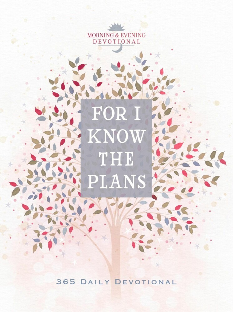 For I Know the Plans main product photo