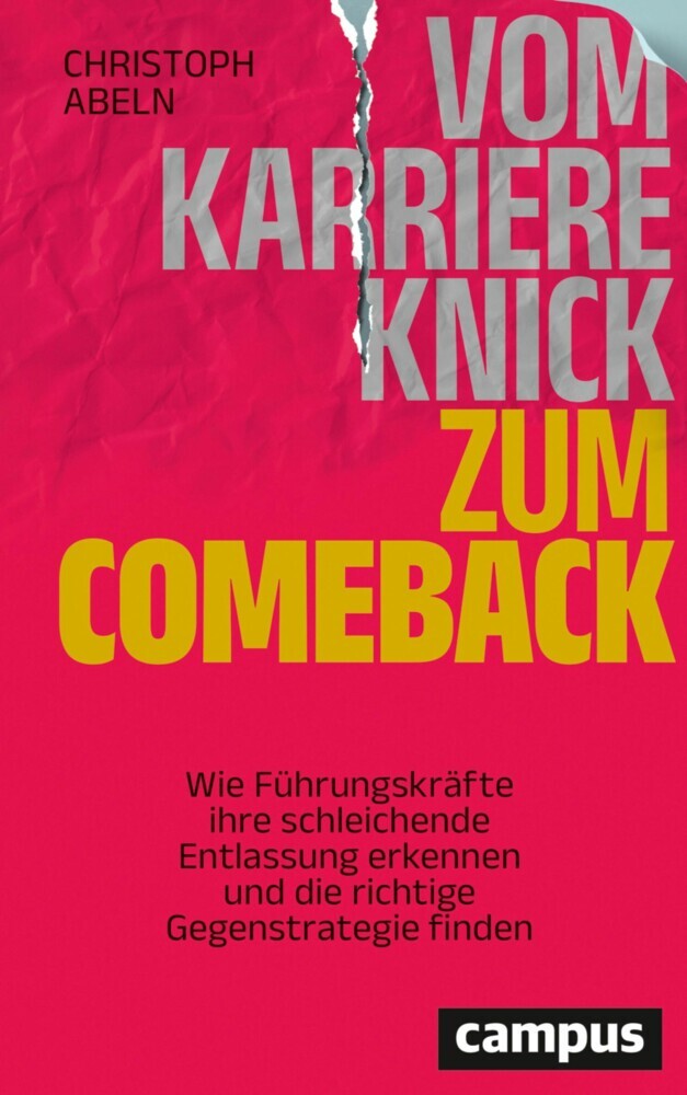 Vom Karriereknick zum Comeback main product photo