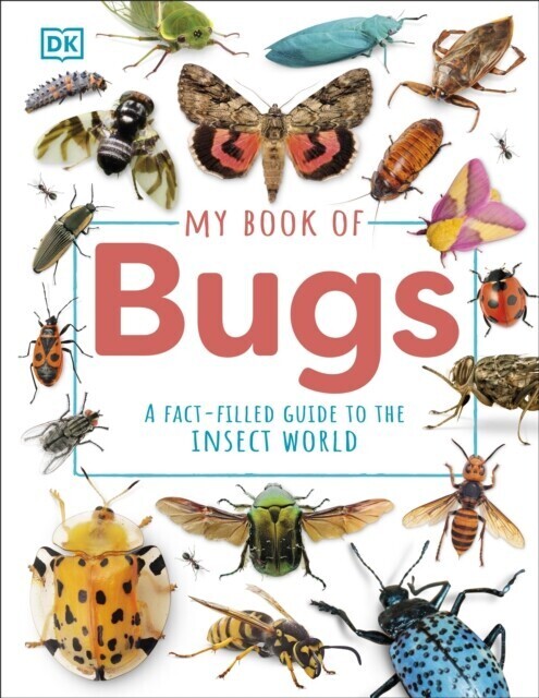 My Book of Bugs main product photo