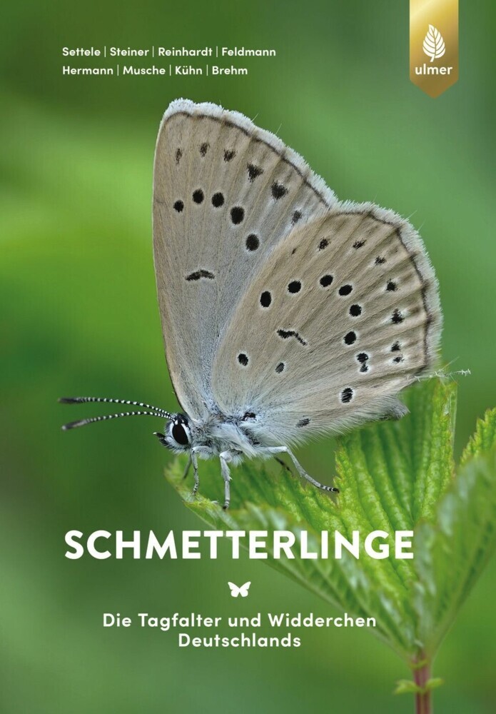 Schmetterlinge main product photo