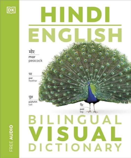 Hindi English Bilingual Visual Dictionary main product photo